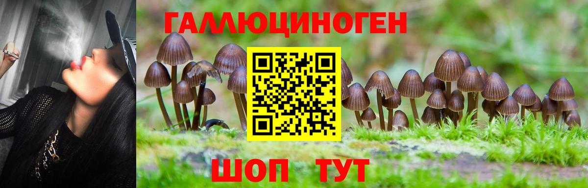 Галлюциногенные грибы MAGIC MUSHROOMS Ахтубинск